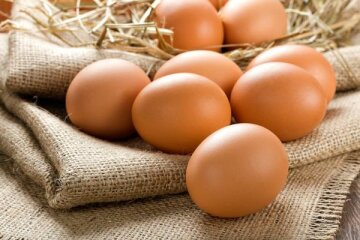 Все про користь і шкоду яєць: скільки можна з’їдати продукту на тиждень