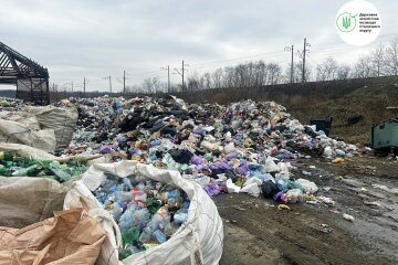 Держекоінспекція, свалка