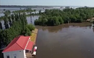 Екологи повідомили про наслідки підриву Каховської дамби для Одеси: "Може стати критичною проблемою"
