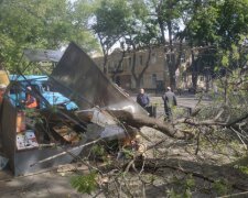 Дерево рухнуло на киоск с продавцом в центре Одессы, движение заблокировано: кадры ЧП