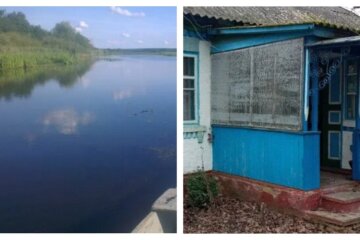Дом с большим участком продается под Киевом за "смешные" деньги: как он выглядит, фото
