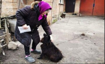 Платна реєстрація кішок і собак в Україні: законопроект вже у Раді, "власники повинні будуть…"