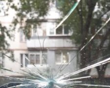 На автомобили харьковчан устроили атаку боярышником: кадры последствий