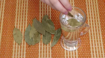запах