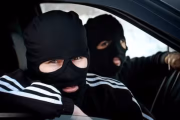 Банда нелегалов