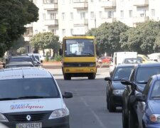 Подорожчання проїзду в Житомирській області