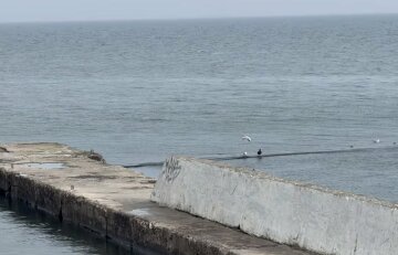 Прогноз погоды в Одессе на март