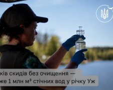 Держекоінспекція