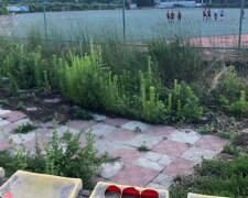 "Словно в трущобах": в сети показали, во что превратился стадион в Харькове, фото
