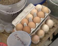 Подорожание яиц перед Пасхой в Днепропетровской области