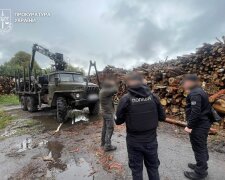 Госэкоинспекция