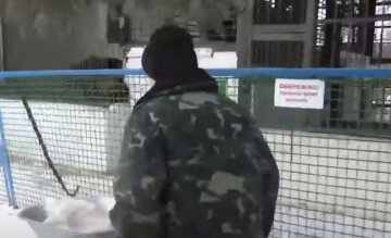 "Хотів погодувати": тигр загриз українця в зоопарку, деталі трагедії та відео