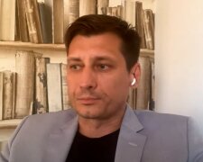 «Ми вже наближаємось до розв'язки»: Дмитро Гудков розповів про крах режиму путіна