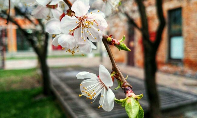 весна погода