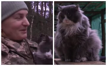 Украинка вышла на оборону страны вместе со своим котом, видео: "Возвращаться в гражданскую жизнь пока не планирует"