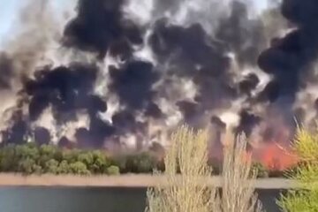 Огромные пожары окутали Херсонщину, появились кадры: "Тушить некому"