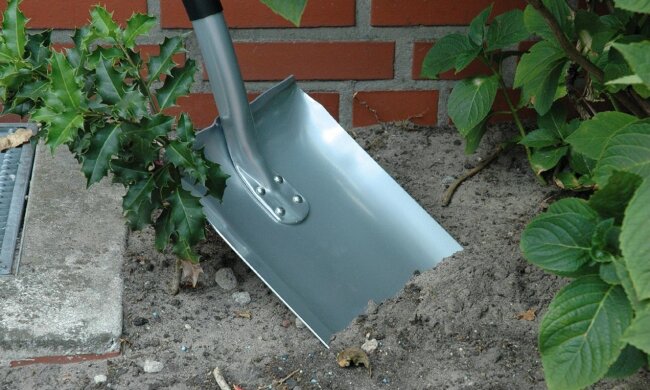 лунный посевной календарь