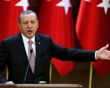 Эрдоган: Турция хозяйствует в Европе