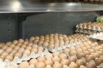 Подорожание яиц в Харьковской области