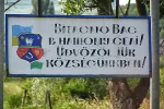 закарпатье_венгерский_язык
