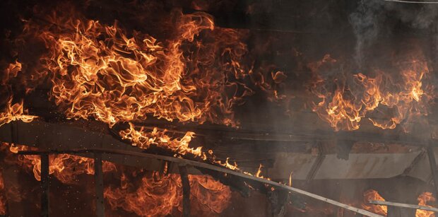  �������� ���� ���� ������ ���� ������� ����������� ���� 