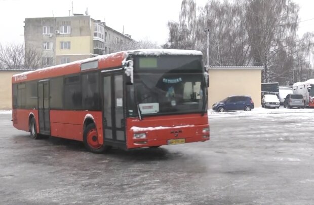 ����: politeka.net