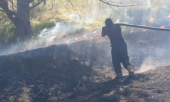 Масштабный огонь охватил гектары в Киеве: видео происшествия