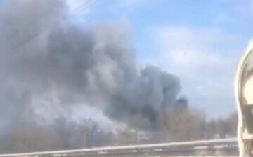 Масштабный пожар в Киеве: пламенем охватило огромную территорию парка, видео и детали с места