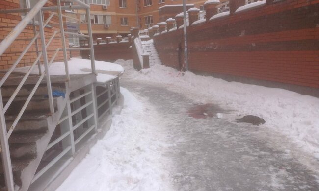 16708719_1125377027574277_3118498207882448873_n