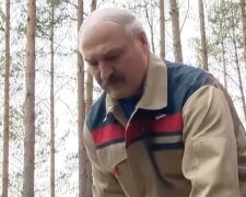 "Це треба бути таким монстром": Лукашенку поставили "діагноз", розкрито його майбутнє