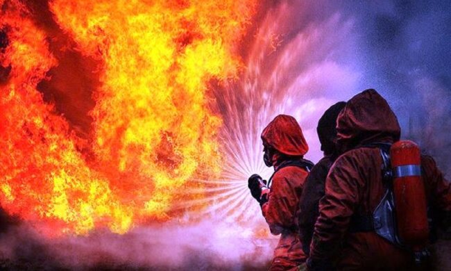 Пожар охватил пункт приема елок, кадры ЧП: "Кому- то не хватило шоколадки"