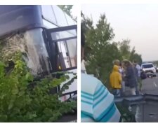 Под Харьковом автобус с отдыхающими попал в аварию: "у водителя оторвало..."
