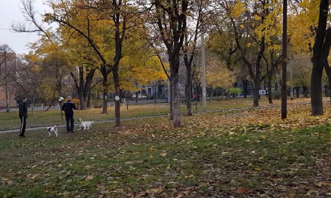 Прогноз погоды на неделю с 6 по 12 октября в Кривом Роге.