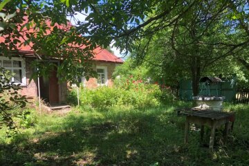 Дом в тихом месте за 50 тысяч гривен продают в Украине: как он выглядит и что в нем есть