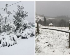 "Все вокруг белым бело": зима ворвалась в Украину и замела города снегом, чарующие фото