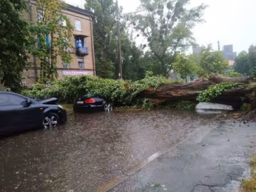 У Києві лютує негода: повалило дерева і затопило вулиці, кадри