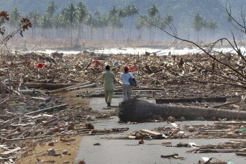 цунами, землетрясение