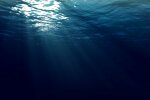 Величезний монстр атакував людину в море: відео, від якого волосся стає дибки