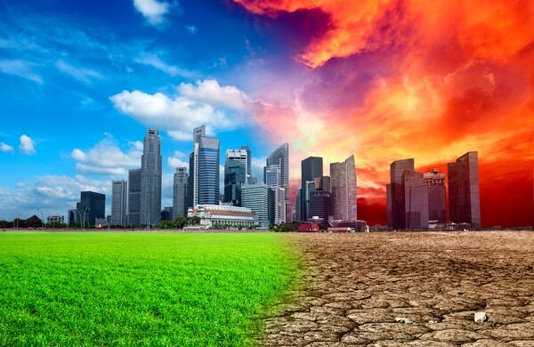 Экология, катастрофа