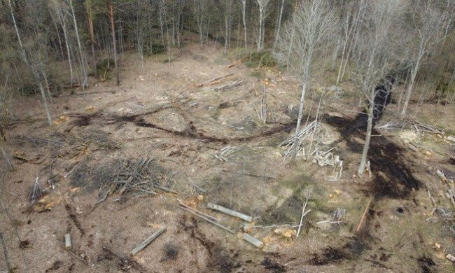 Держекоінспекція
