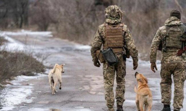 Украинские защитники захватили ключевой трофей оккупантов, фото: будет помогать ВСУ