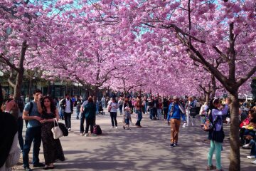 весна, счастье, радость, люди