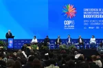 COP 17 у Єревані: чи може країна з екологічними кризами бути майданчиком довіри?