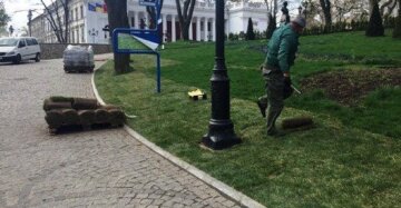 В Одессе на карантине выгуливают медведя и кота: курьезное видео