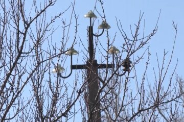 Графики отключения света в Житомирской области на 31 декабря