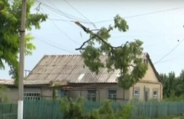 Стихія накоїла біди в Харківській області: кадри наслідків