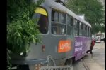 В Одесі трамвай з людьми зійшов з рейок і врізався в дерево: відео НП