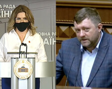 Александр Корниенко и Кира Рудик – наиболее эффективные партийные руководители, - опрос экспертов