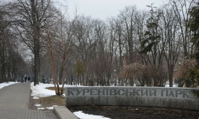 Сеть взбудоражил поступок киевлянок в популярном парке: все на глазах у детей, фото