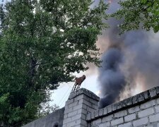 Масштабный пожар охватил завод в Харькове: кадры и первые данные с места ЧП